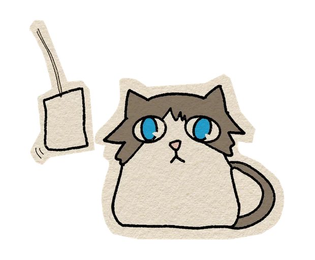 用自拍杆自拍的小猫